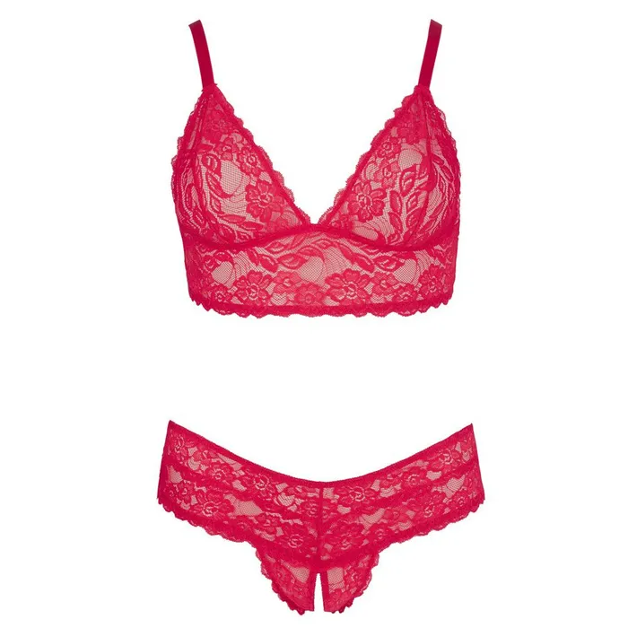 Plus Size Cottelli Lingerie Cottelli Plus Size Red Lace Bra And Briefs Plus Size Cottelli Lingerie Cottelli Plus Size Red Lace Bra And Briefs