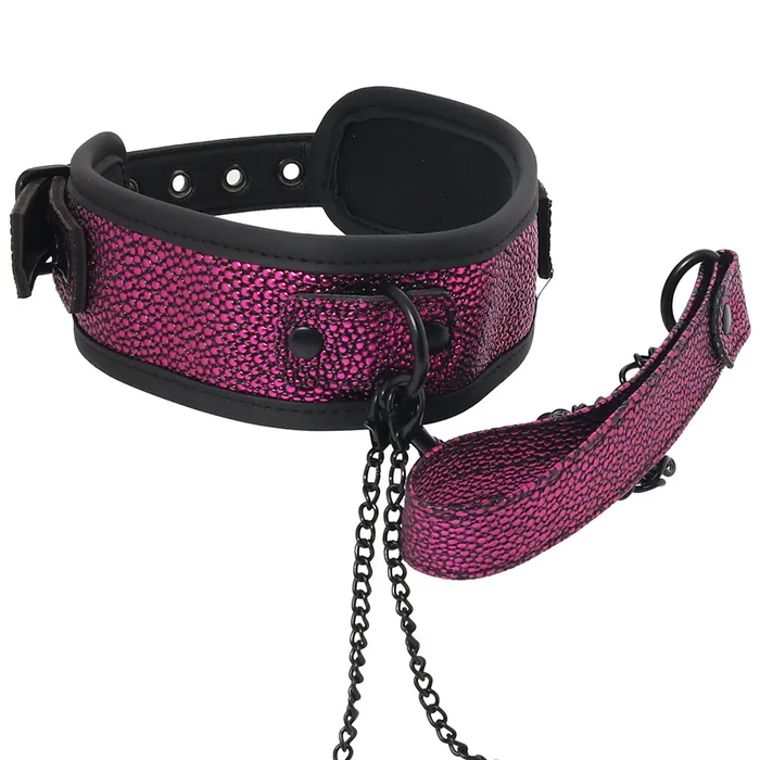 Female Sex Toys XGen WhipSmart Dragons Lair Collar Leash Nipple Clips Set