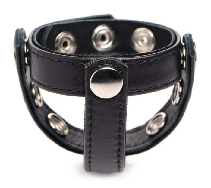 Female Sex Toys XR Brands Strict Leather Cock Gear SnapOn Harness Black Premium Leather Comfort